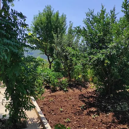 One Bedroom Apartment Gogo With Private Parking Neum Exterior photo