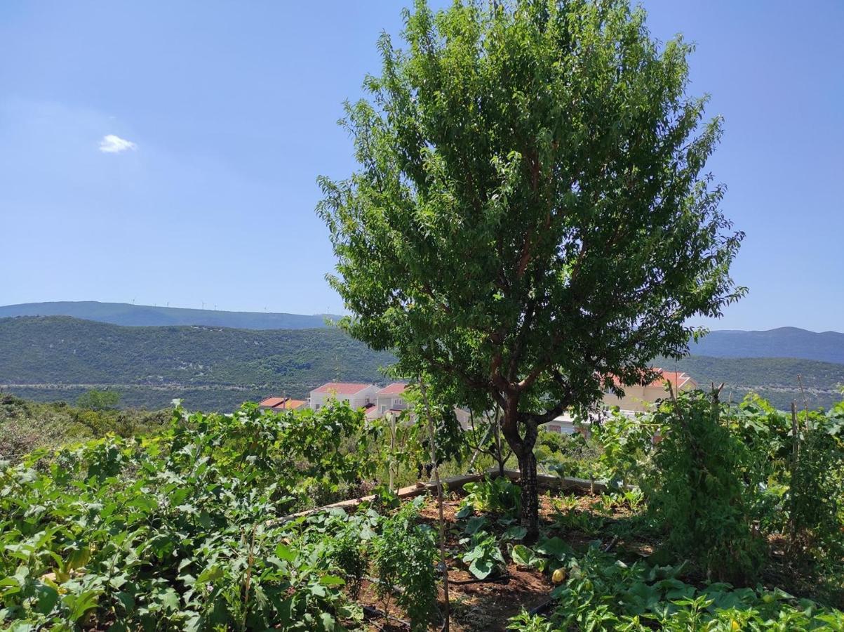 One Bedroom Gogo With Private Parking * Neum